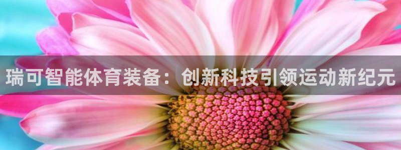 fb体育平台注册要钱吗安全吗:瑞可智能体育装备:创新科技引领