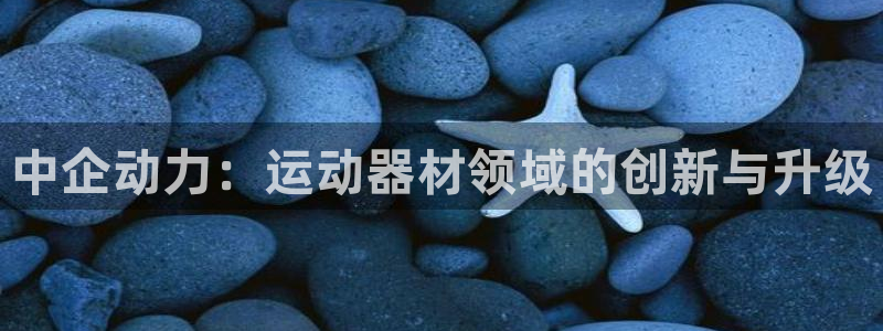 fb体育娱乐是那个系列的台子:中企动力:运动器材领域的创新与
