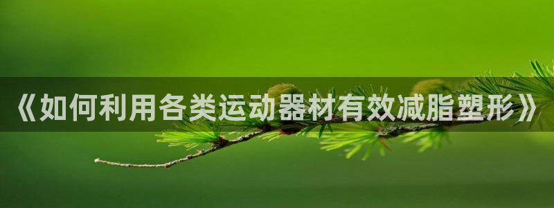 fb体育科技:《如何利用各类运动器材有效减脂塑形》
