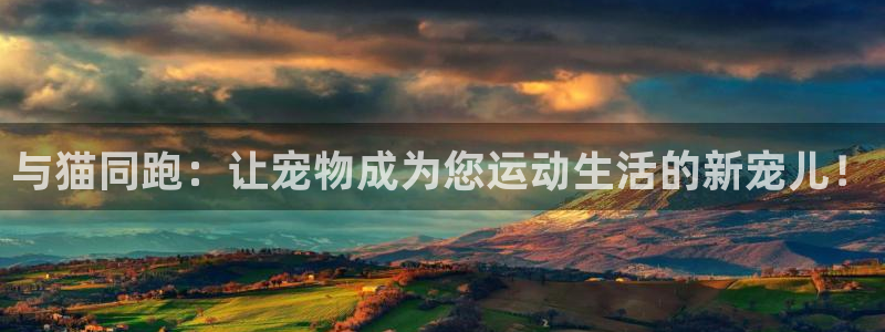 fb体育开户:与猫同跑:让宠物成为您运动生活的新宠儿!