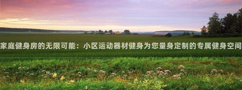 fb体育娱乐首页网站大全:家庭健身房的无限可能:小区运动器材