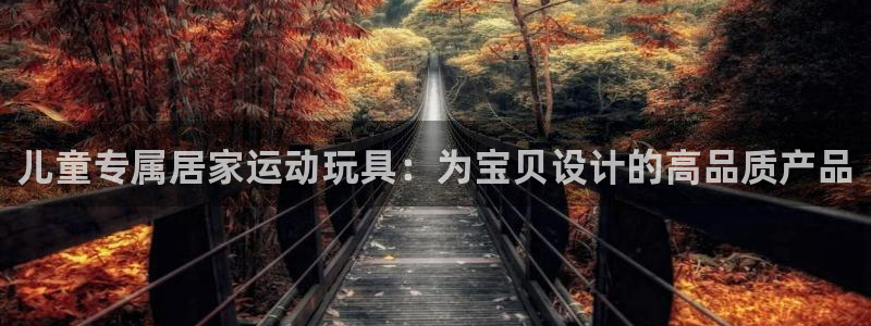 fb体育集团logo:儿童专属居家运动玩具:为宝贝设计的高品