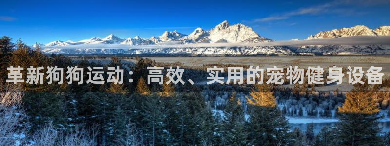 fb体育平台注册要钱吗是真的吗:革新狗狗运动:高效、实用的宠